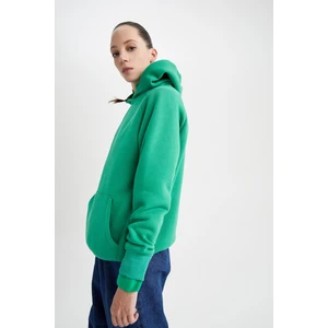 Kapüşonlu Kanguru Cepli Basic Reglan Sweatshirt Z9352AZ22AU