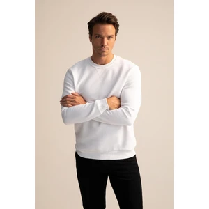 Regular Fit Sweatshirt T3777AZ22AU