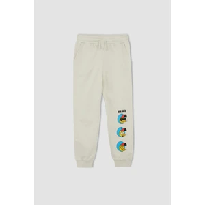 Erkek Çocuk Kral Şakir Jogger Eşofman Alt X0168A622SP