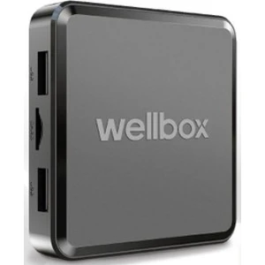 Android 12 Wellbox Max2 Android TV Box TVbox IpTV Media Player 2gb Ram 16GB Hafıza Android 12