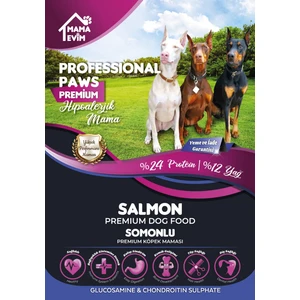 Mama Evim  Professional Paws Premium Hipoalerjenik Somonlu Yetişkin Köpek Maması (15KG)