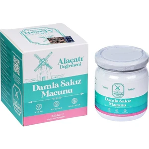 Değirmeni Damla Sakızı Macunu 240 Gr