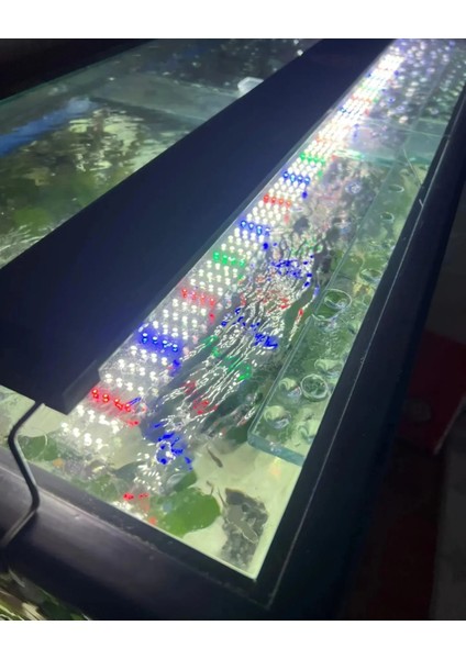 55 cm ( 60-65 cm uyumlu ) Fullspectrum 4 Renk, 4sıra Osram Marka Ledli modelleri