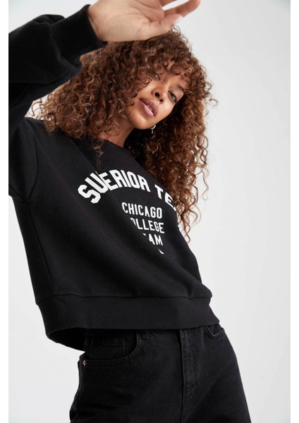 Regular Fit Bisiklet Yaka Uzun Kollu Sweatshirt V1786AZ21AU