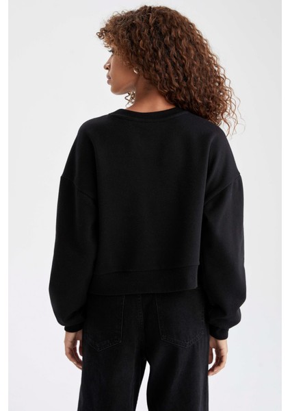 Regular Fit Bisiklet Yaka Uzun Kollu Sweatshirt V1786AZ21AU