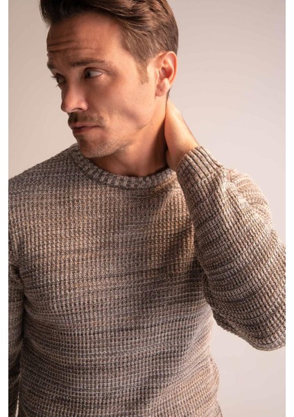 Regular Fit Bisiklet Yaka Triko Kazak N9902AZ22WN