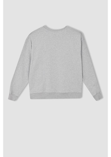 Regular Fit Bisiklet Yaka Sweatshirt Y0105AZ22AU