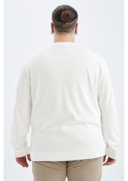 Modern Fit Bisiklet Yaka Sweatshirt Y4432AZ22AU