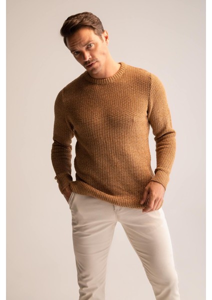 Regular Fit Bisiklet Yaka Triko Kazak R1175AZ22WN modelleri