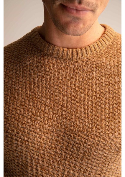 Regular Fit Bisiklet Yaka Triko Kazak R1175AZ22WN fırsatları