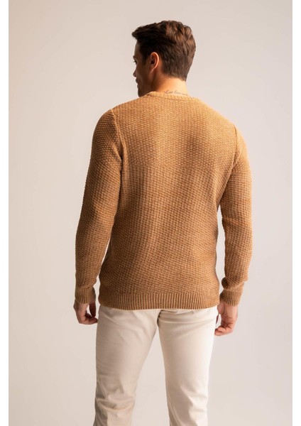 Regular Fit Bisiklet Yaka Triko Kazak R1175AZ22WN indirimleri