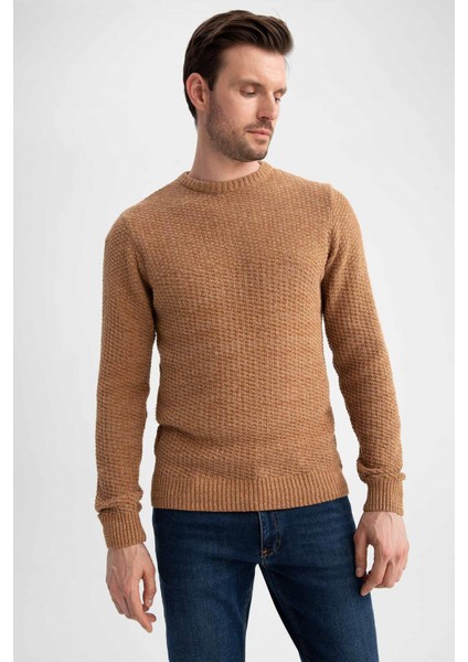 Regular Fit Bisiklet Yaka Triko Kazak R1175AZ22WN