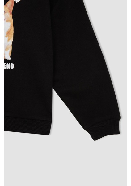 Kız Çocuk Bisiklet Yaka Baskılı Sweatshirt W6678A622SP modelleri