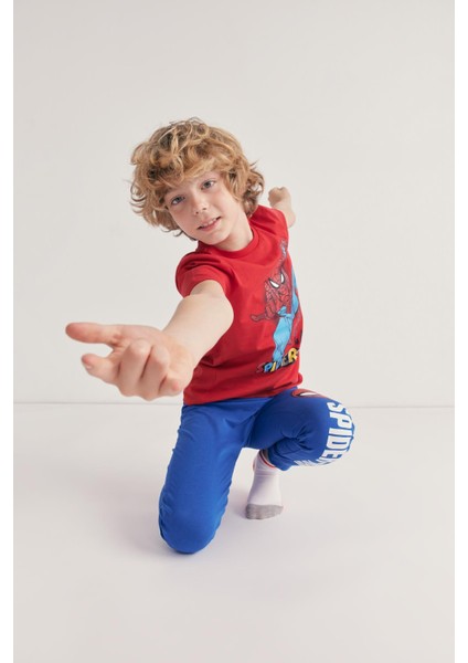 Erkek Çocuk Marvel Spiderman Kısa Kollu Pijama Takım Z6663A623SM fiyatları