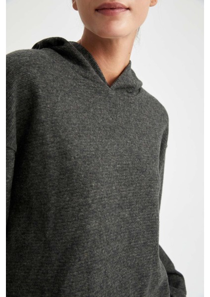 Regular Fit Sweatshirt Z7109AZ22AU indirimleri