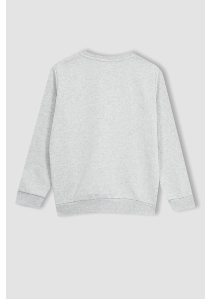 Erkek Çocuk Bisiklet Yaka Kalın Sweatshirt Z4750A623SP