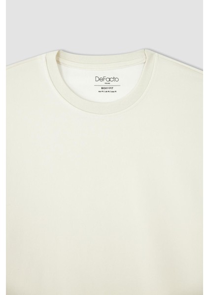 Boxy Fit Bisiklet Yaka Kısa Kollu Pamuklu Penye Tişört X3926AZ22AU