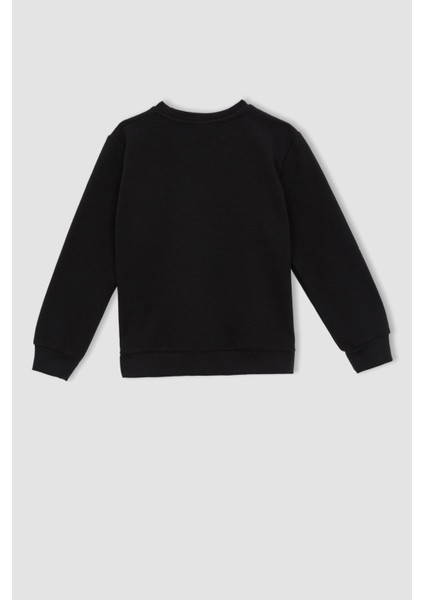 Erkek Çocuk Bisiklet Yaka Geri Dönüşümlü Sweatshirt W8297A622SP