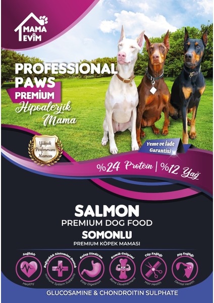 Professional Paws Premium Hipoalerjenik Somonlu Yetişkin Köpek Maması (15KG)