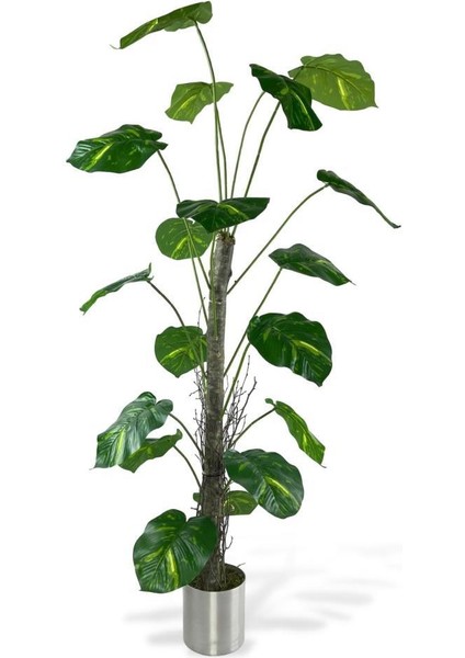 Yapay Ağaç Difenbahya Tropik 18 Dallı Çalılı Gövde 120X60CM Gümüş Aleminyum Saksıda