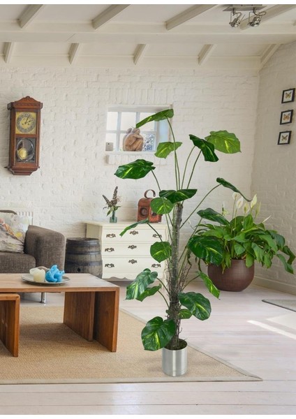 Yapay Ağaç Difenbahya Tropik 18 Dallı Çalılı Gövde 120X60CM Gümüş Aleminyum Saksıda indirimleri
