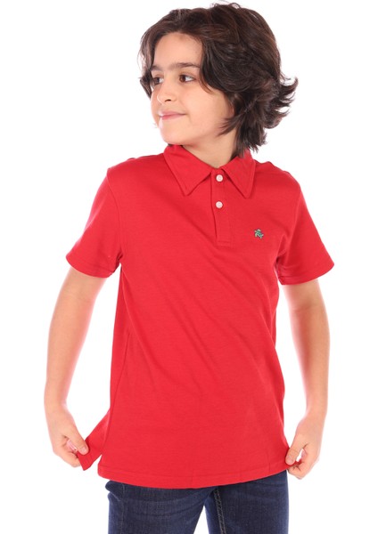 Toontoy Erkek Çocuk Polo Yaka Tişört