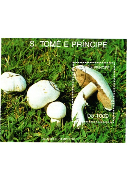 Kovak & Kailyn Sao Tome E Principe Ülkesi 1992 Yılı Flora Temalı Blok Pul (11X9 Cm)