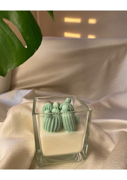 Kaktüslü Tasarım Mum