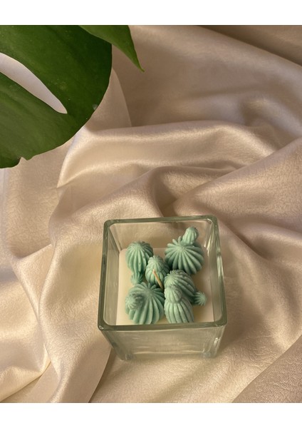 Kaktüslü Tasarım Mum fiyatları