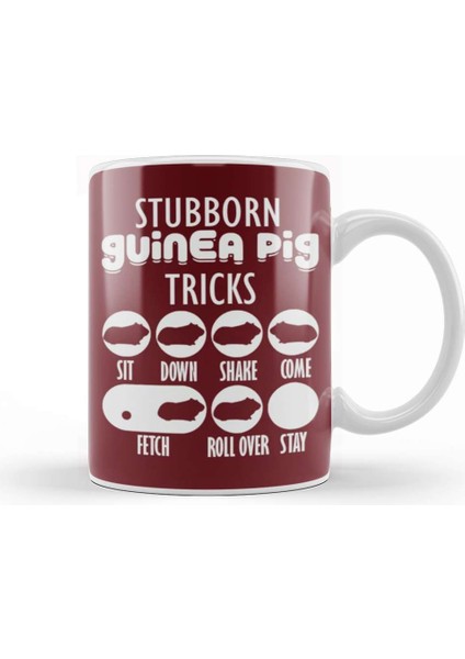 Stubborn Guinea Pig Tricks With Seven Styles Kupa Bardak Porselen