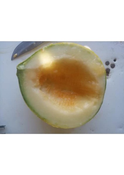 Dalaman Kavun Tohumu (10 Adet)