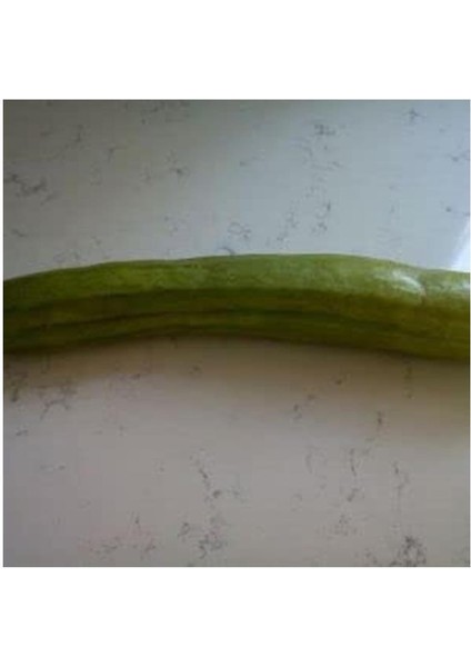 Uzun Köy Salatalık Tohumu (10 Adet)