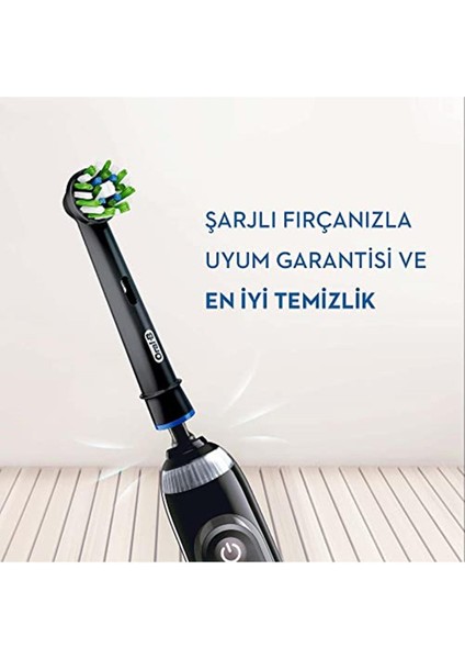 Diş Fırçası Yedek Başlığı Cross Action Siyah 4 Adet indirimleri