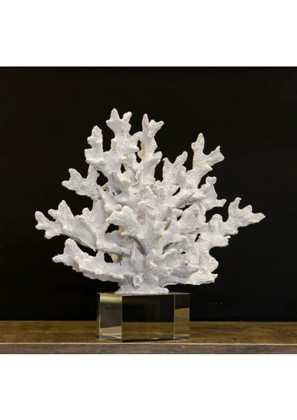 Krıstal Kaideli Mercan modelleri