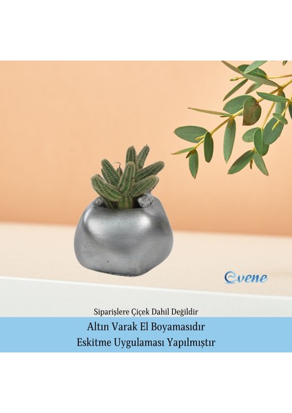 Ahşap Ayaklı Beton Saksı Büyük Boy 1 Adet Spiral Oval Model