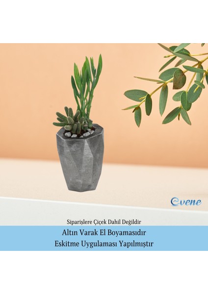 Ahşap Ayaklı Beton Saksı Büyük Boy 1 Adet Uzun Poly Model