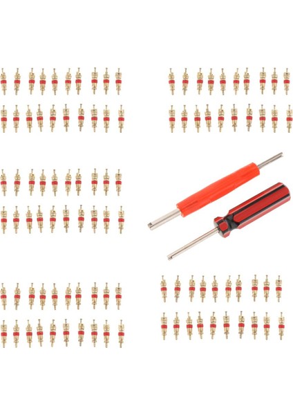102 Adet Lastik Vanası (Yurt Dışından)