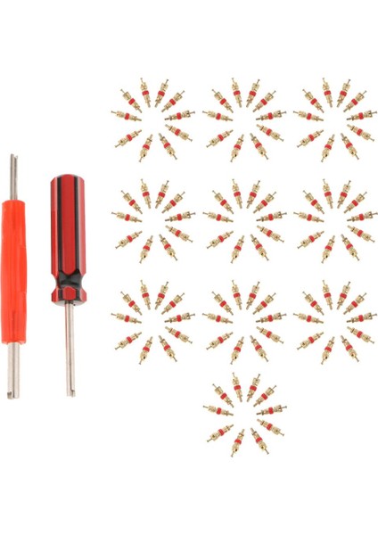 102 Adet Lastik Vanası (Yurt Dışından) fiyatları