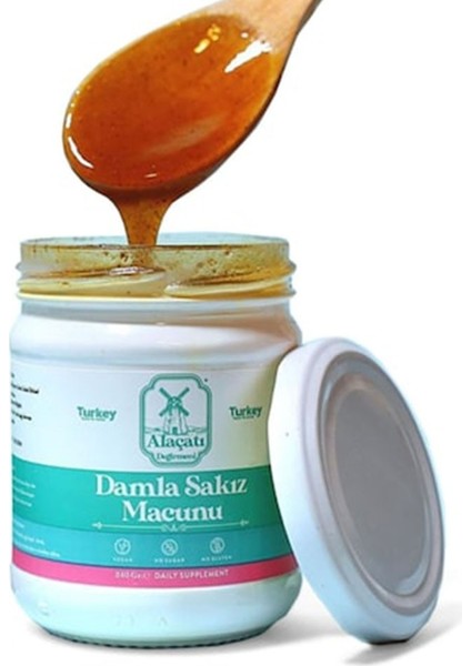 Değirmeni Damla Sakızı Macunu 240 gr