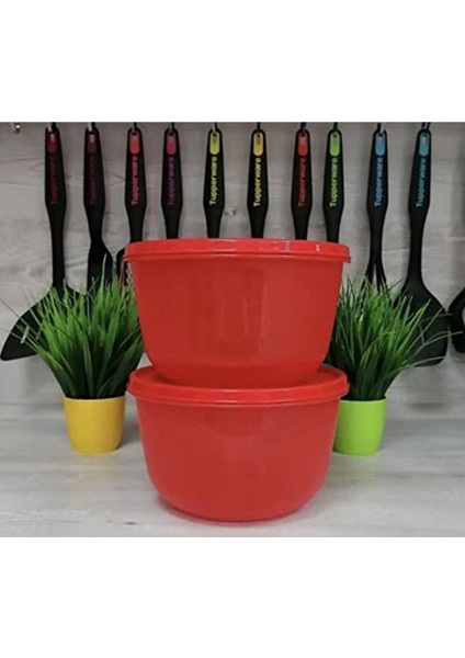 Tupperware Saklama Kabı 2 Litre 2'li Kapaklı Saklama Kabı