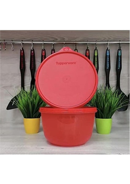 Tupperware Saklama Kabı 2 Litre 2'li Kapaklı Saklama Kabı fiyatları