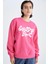 Regular Fit Bisiklet Yaka Sweatshirt Y1249AZ22WN 1