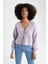 Regular Fit V Yaka Hırka R1389AZ22AU 3
