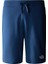 M Standard Short Lıght-Eu Erkek Şort NF0A3S4EHDC1 1