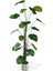 Yapay Ağaç Difenbahya Tropik 18 Dallı Çalılı Gövde 120X60CM Gümüş Aleminyum Saksıda 1