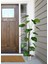 Yapay Ağaç Difenbahya Tropik 18 Dallı Çalılı Gövde 120X60CM Gümüş Aleminyum Saksıda 4