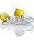 Cam Limon Sıkacağı 2