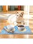 Dünya Kediler Kedi Köpek Eğitim Mama Paspası ve Beslenme Altlığı 2
