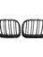 2x Ön Tampon Kindey Grilles Bmw E53 X5 51138250052 Için Otomotiv (Yurt Dışından) 5