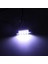 6x Beyaz 42MM 211-2 212-2 214-2 578 12-SMD-3528 LED (Yurt Dışından) 3